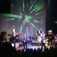 Squeeze in concert