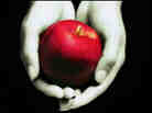 Twilight cover (primary)