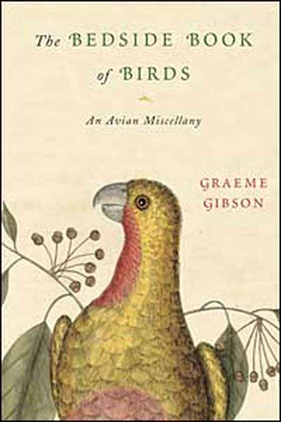 Birds Cover Birds Cover
