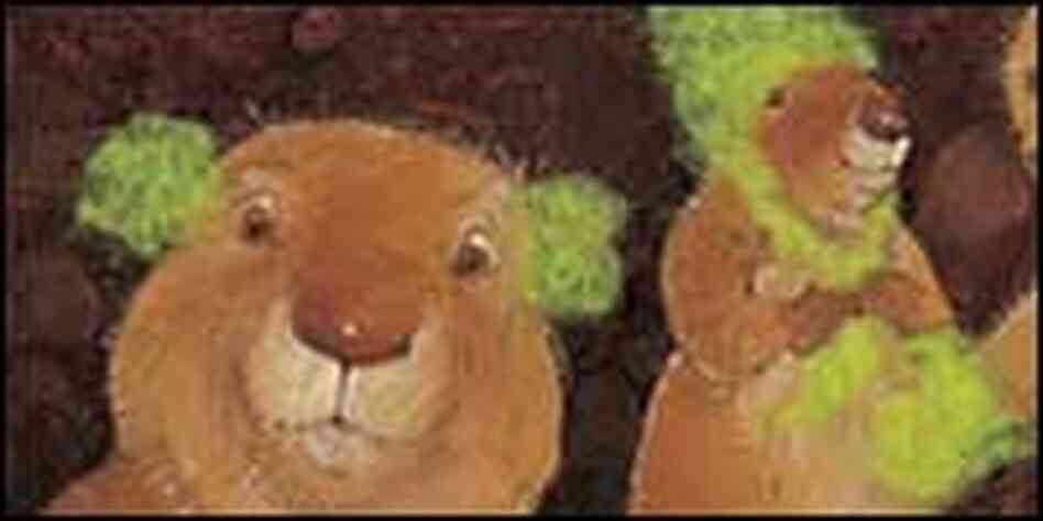 'The Great Fuzz Frenzy'