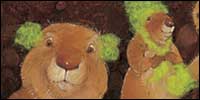 'The Great Fuzz Frenzy'