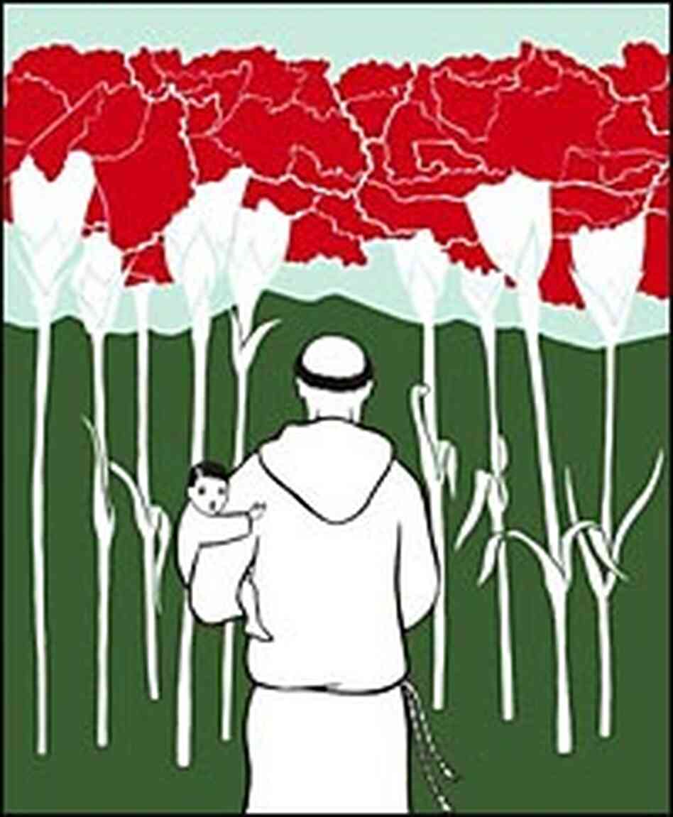 cover cover