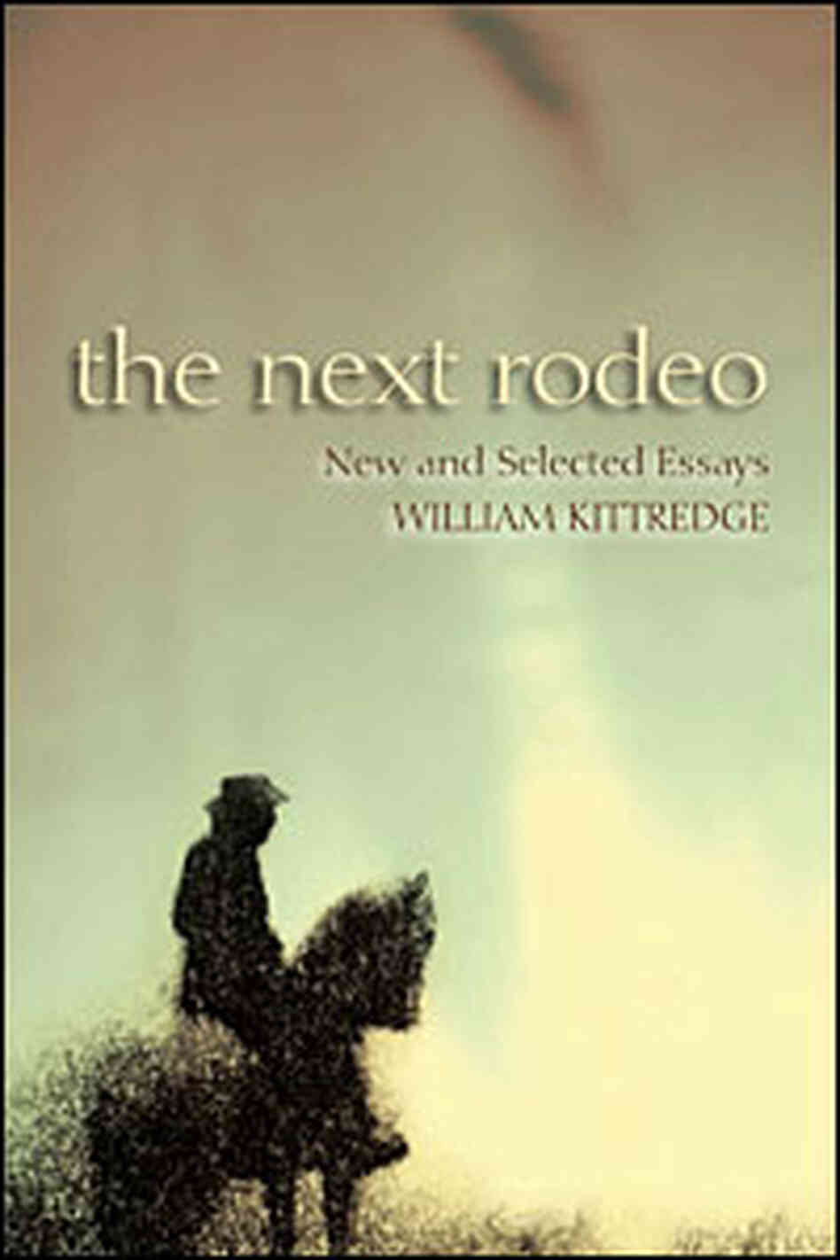The Next Rodeo Cover The Next Rodeo Cover