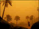 Sandstorm In Iraq