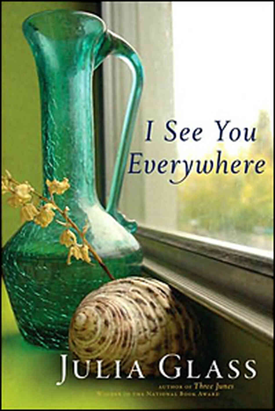 Julia Glass' 'I See You Everywhere' Julia Glass' 'I See You Everywhere'