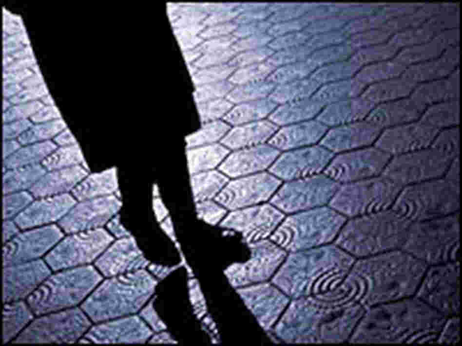 Best crime novels of 2008