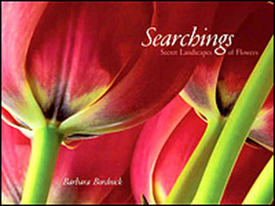 Detail from the cover of Barbara Bordnick's 'Searchings: Secret Landscapes of Flowers' Detail from the cover of Barbara Bordnick's 'Searchings: Secret Landscapes of Flowers'