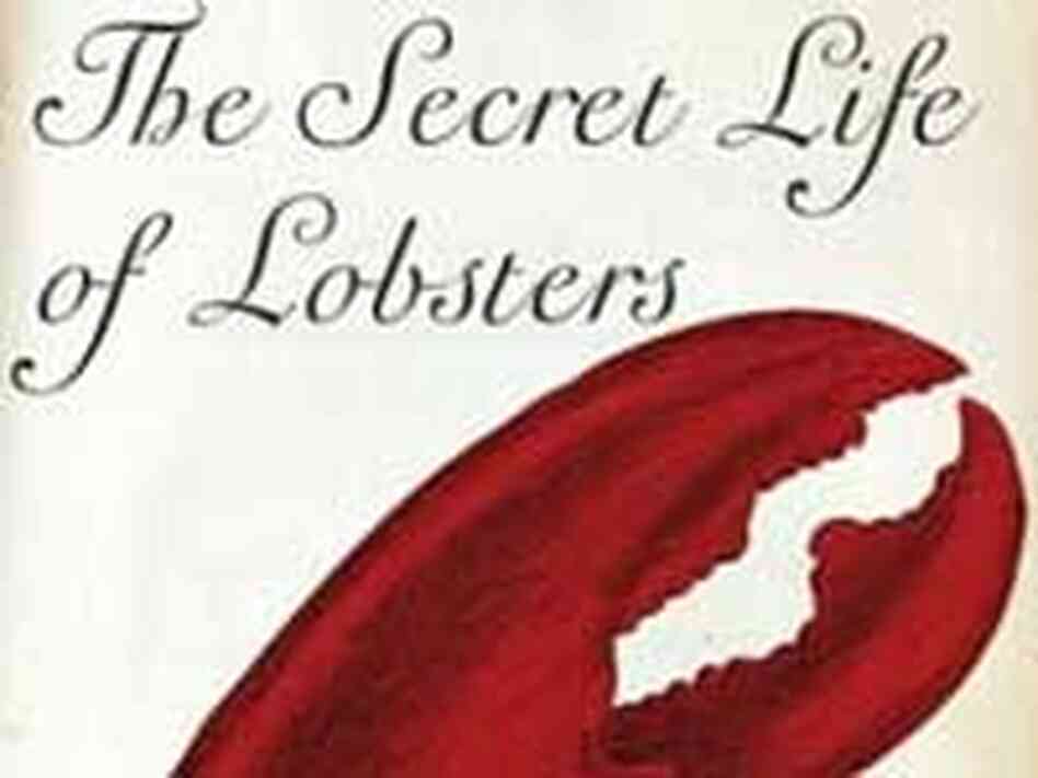 Detail from 'The Secret Lives of Lobsters' Detail from 'The Secret Lives of Lobsters'