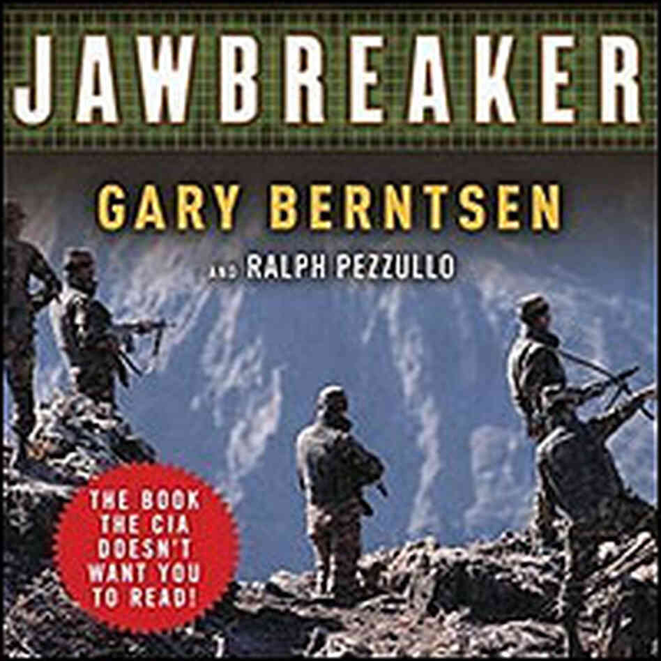 The cover of Gary Berntsen's book shows a scene from mountains on the Afghanistan/Pakistan border. The cover of Gary Berntsen's book shows a scene from mountains on the Afghanistan/Pakistan border.
