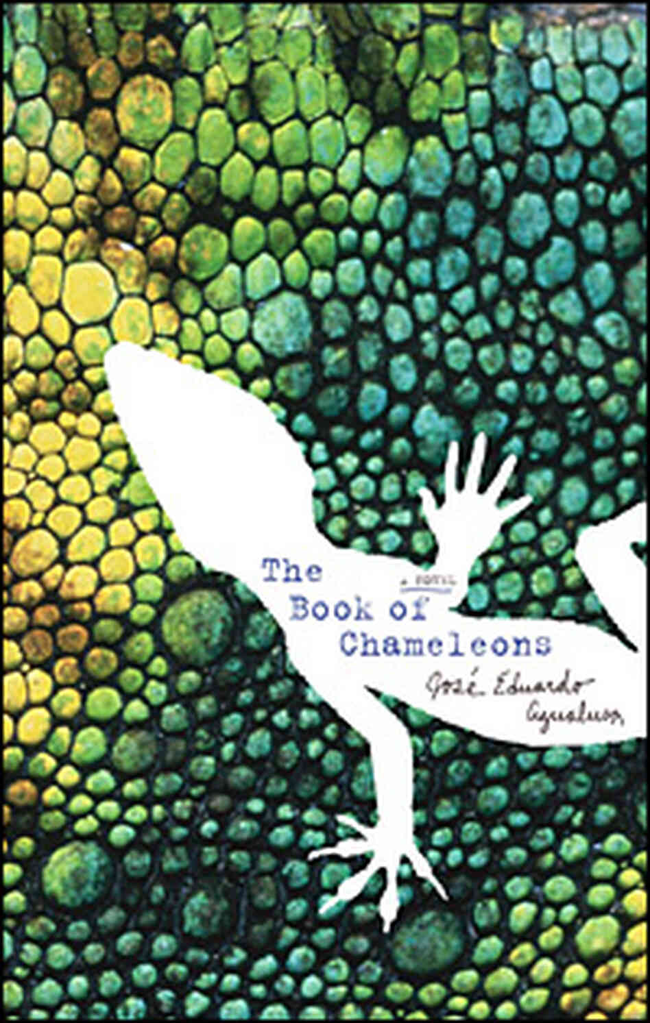 'The Book of Chameleons' 'The Book of Chameleons'