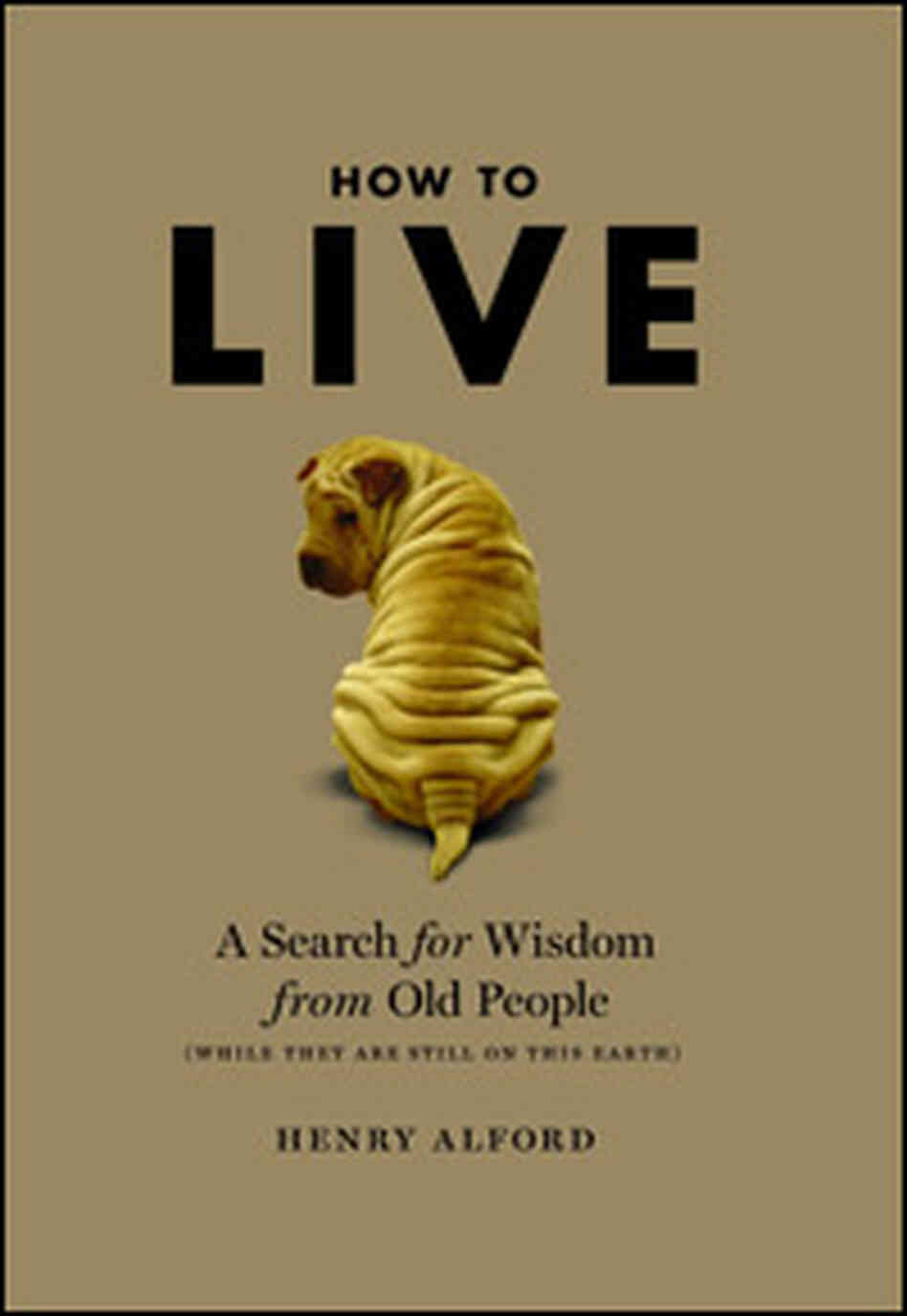 'How To Live' cover