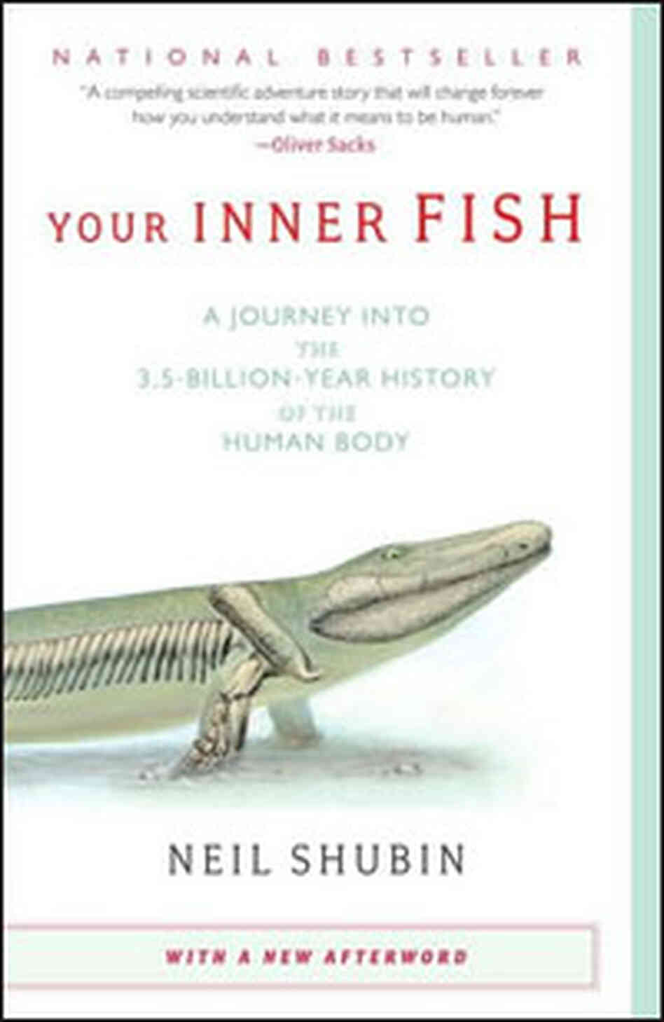 'Your Inner Fish' cover 'Your Inner Fish' cover
