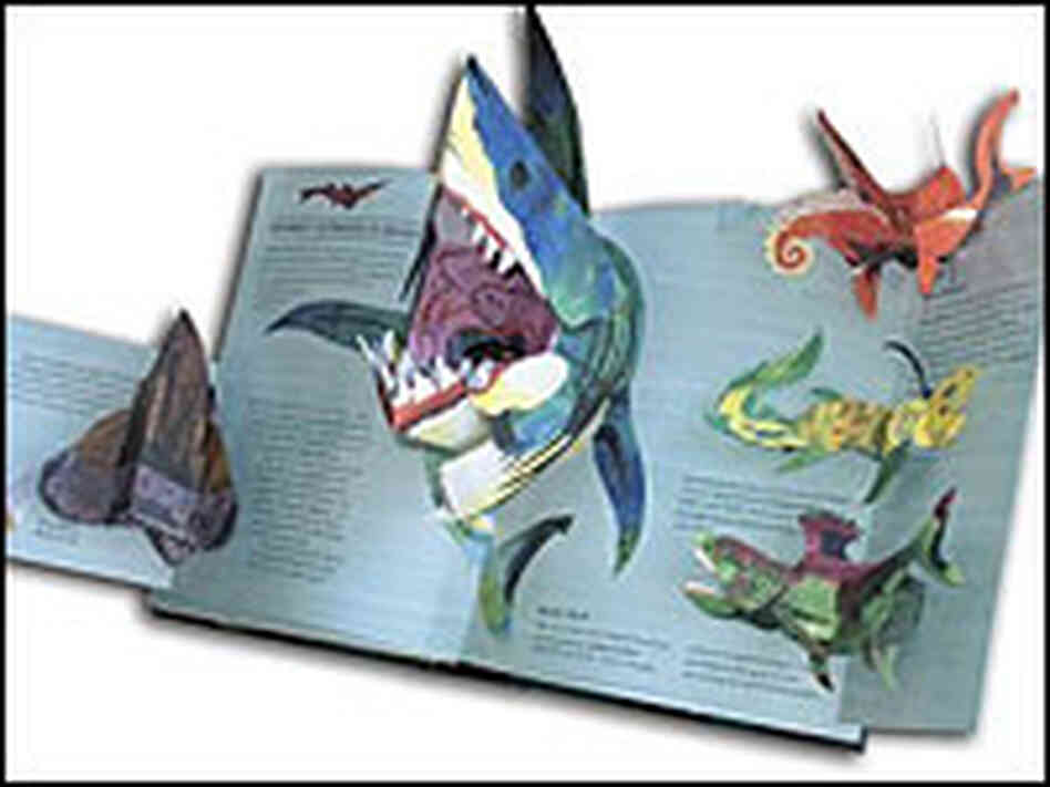 Sharks primary Sharks primary