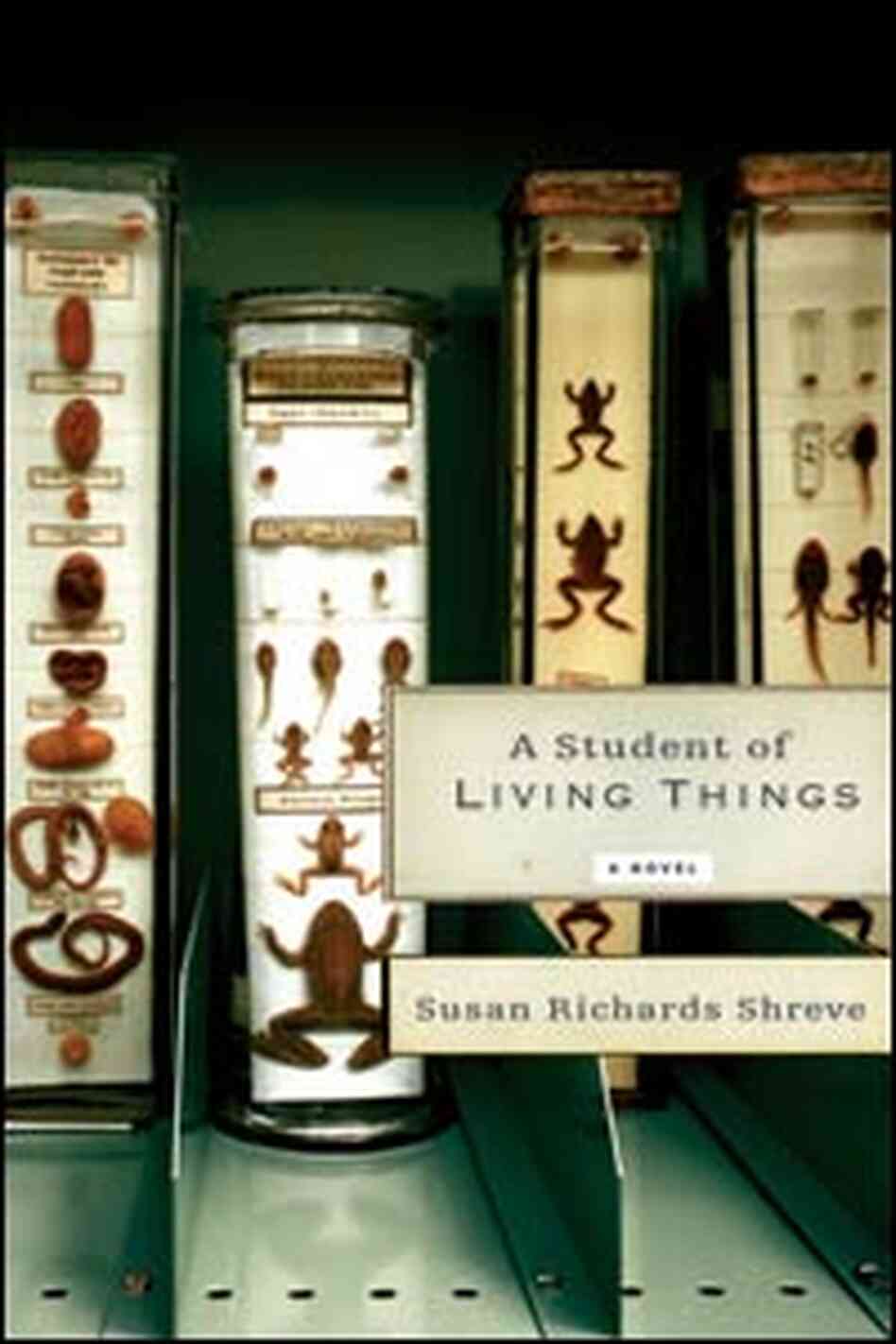 Cover Cover