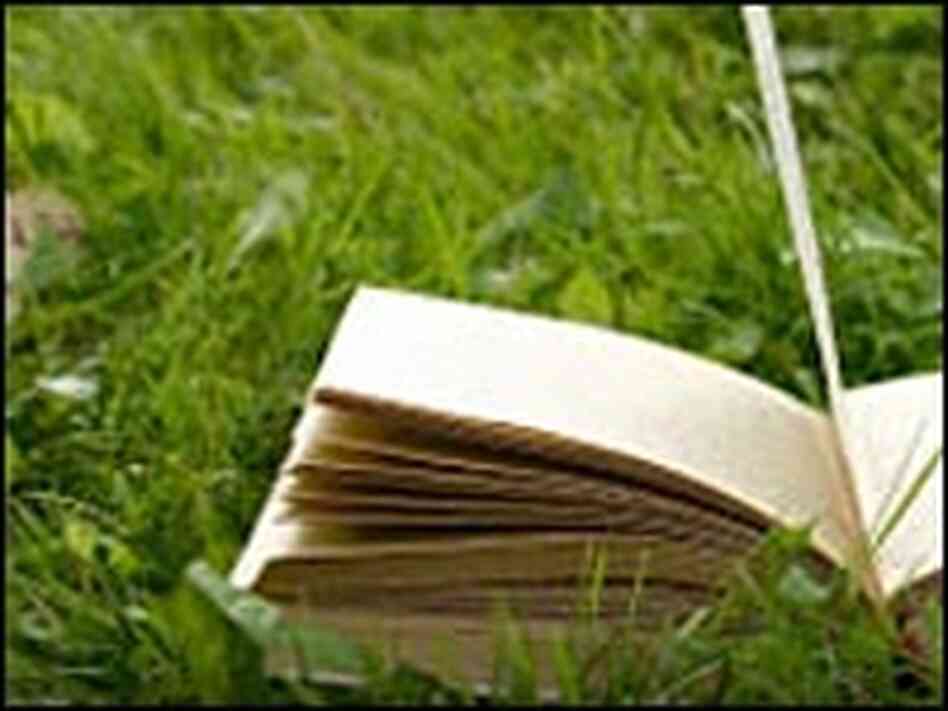 Summer reading graphic Summer reading graphic