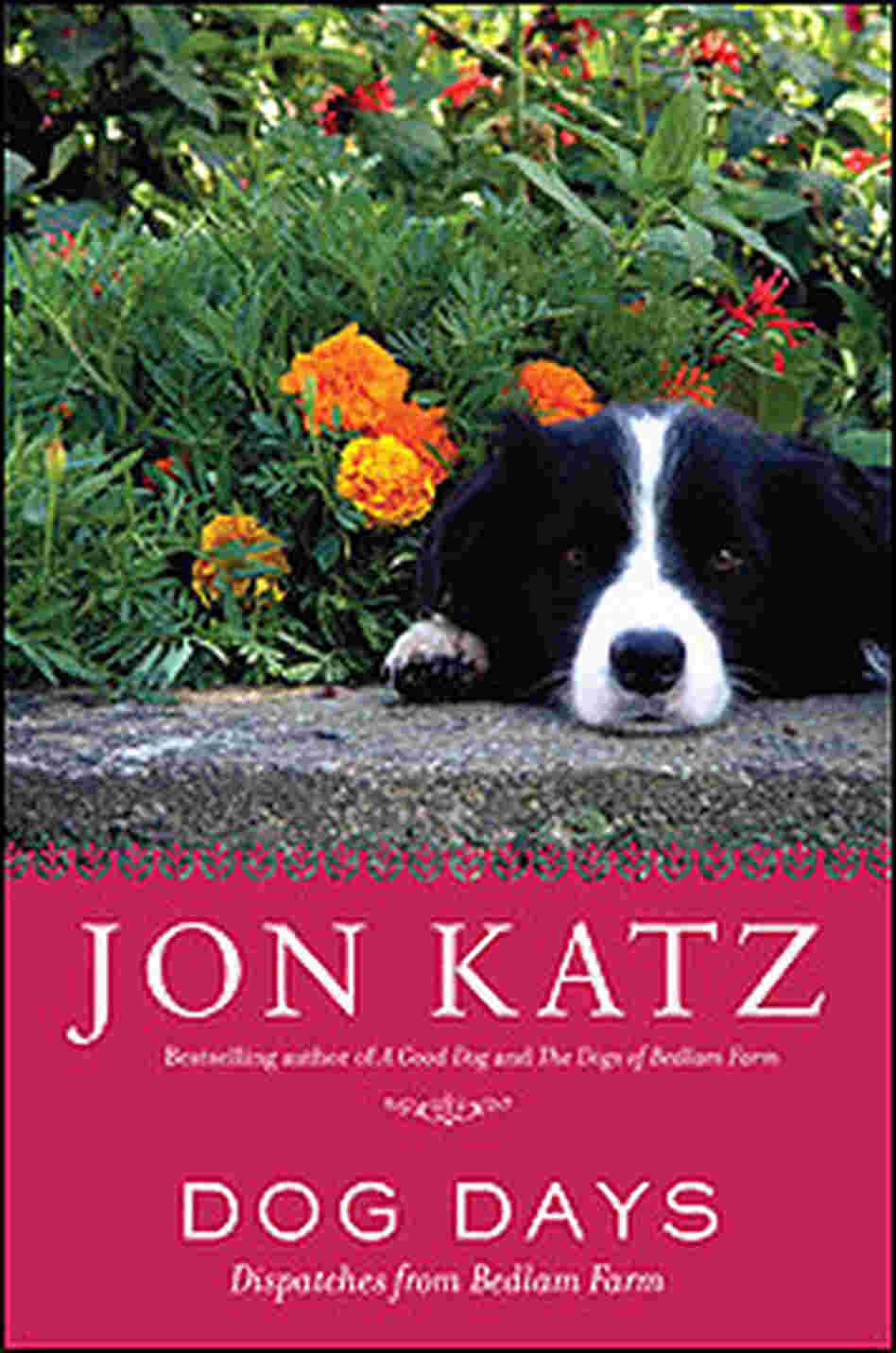Cover Image: Dog Days Cover Image: Dog Days