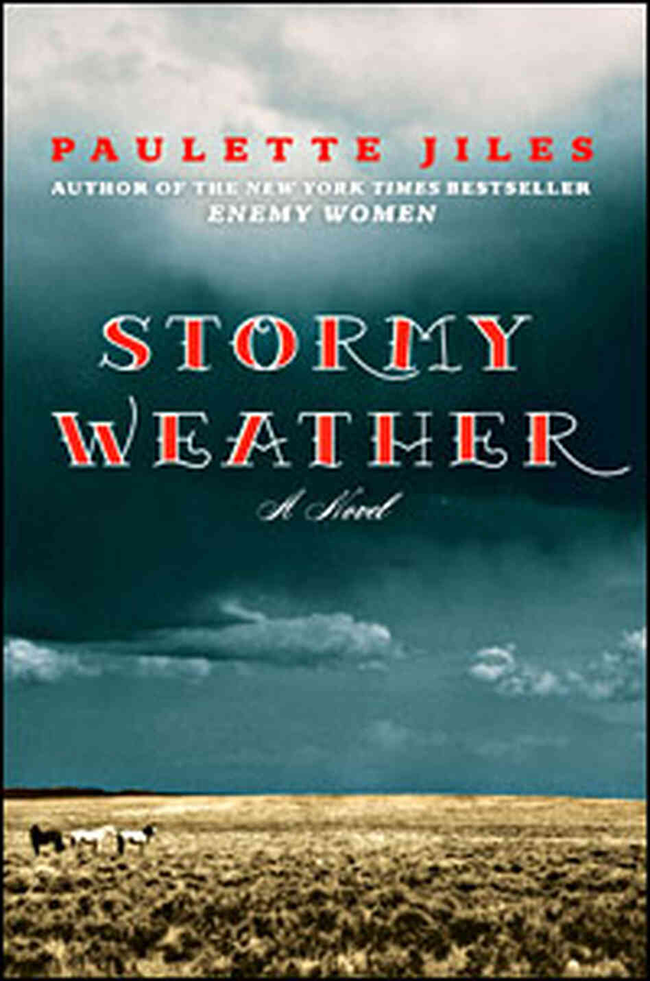 Stormy Weather: Book Cover Stormy Weather: Book Cover
