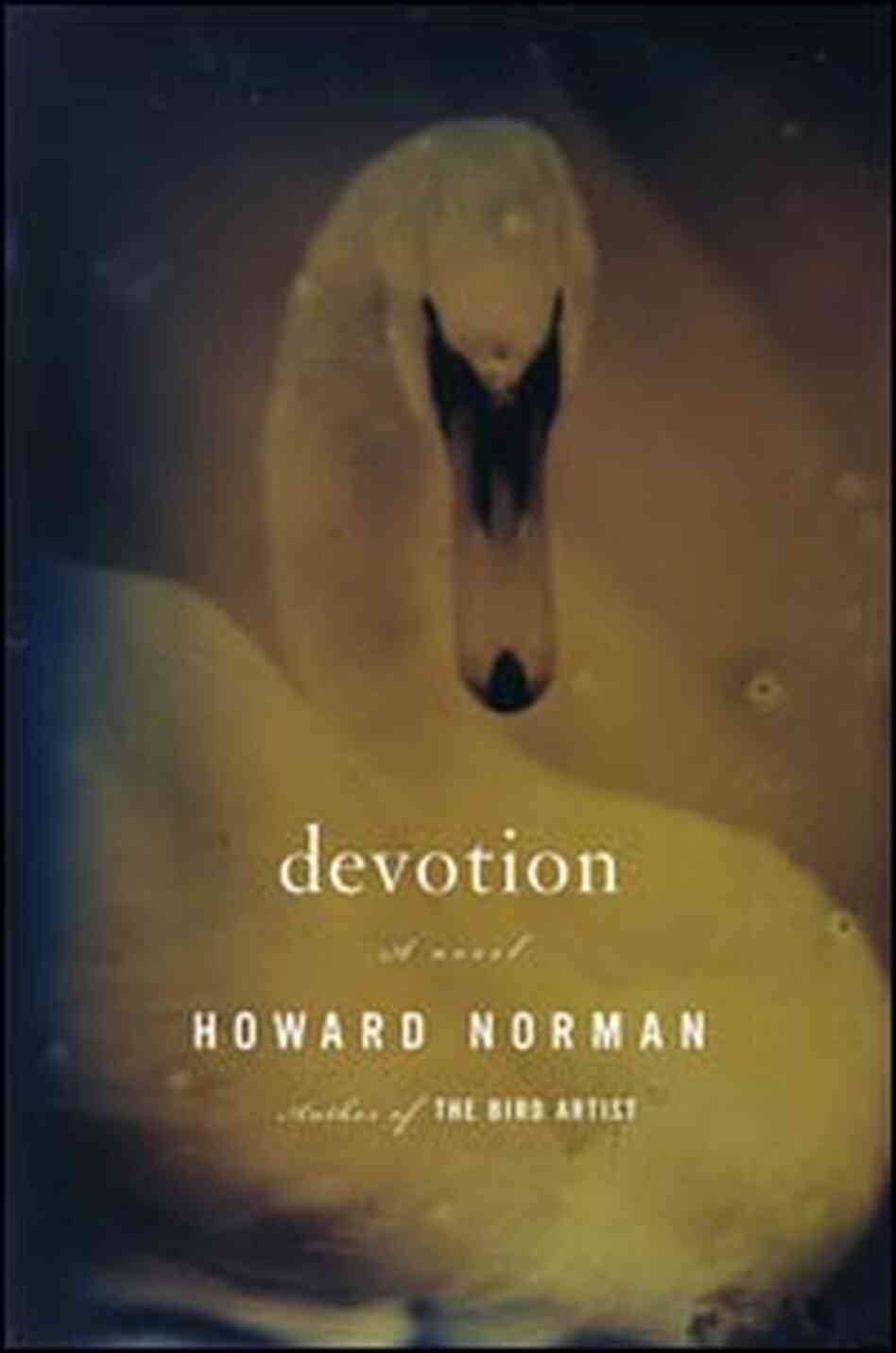 Book Cover: Devotion Book Cover: Devotion