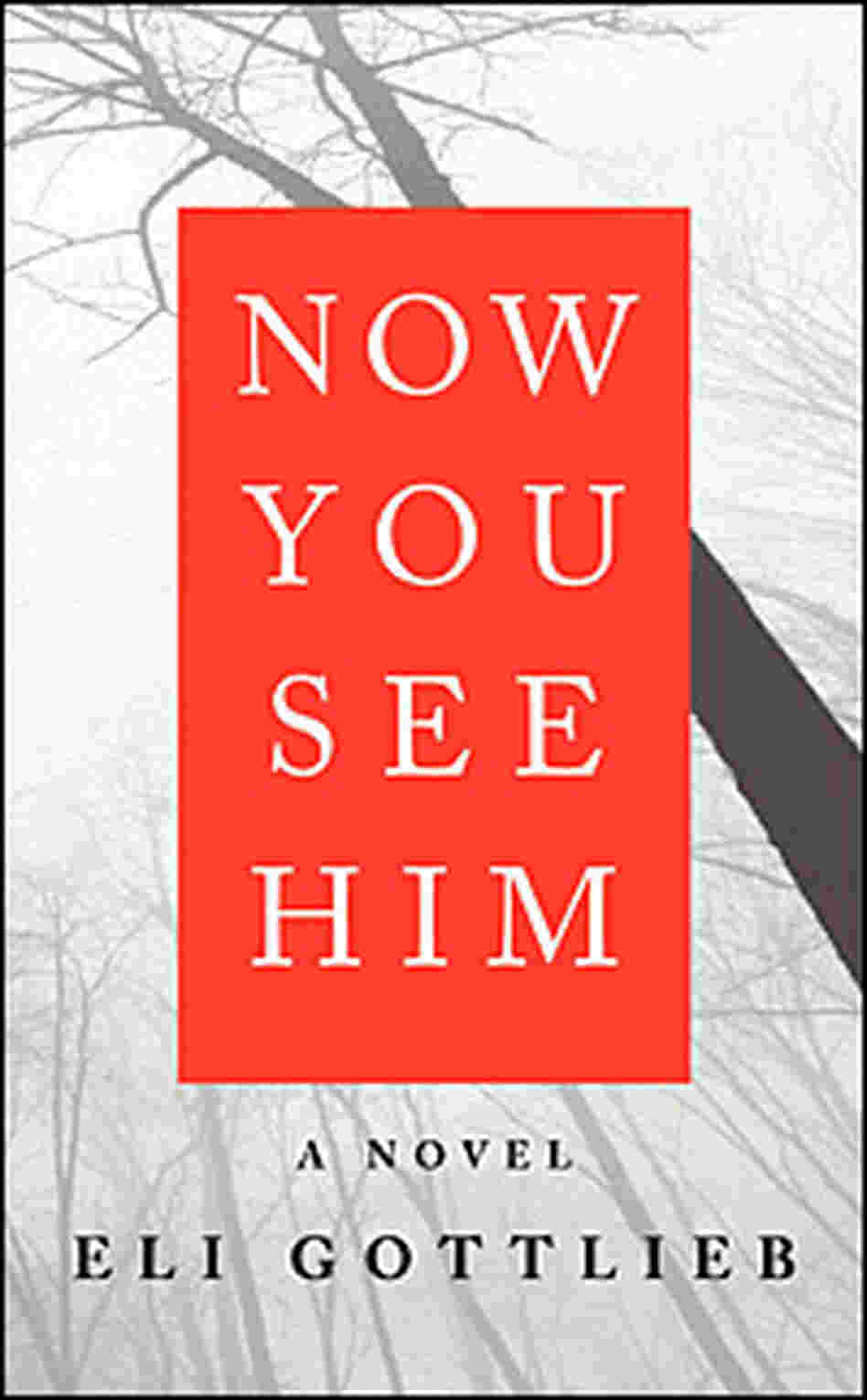 'Now You See Him' cover 'Now You See Him' cover