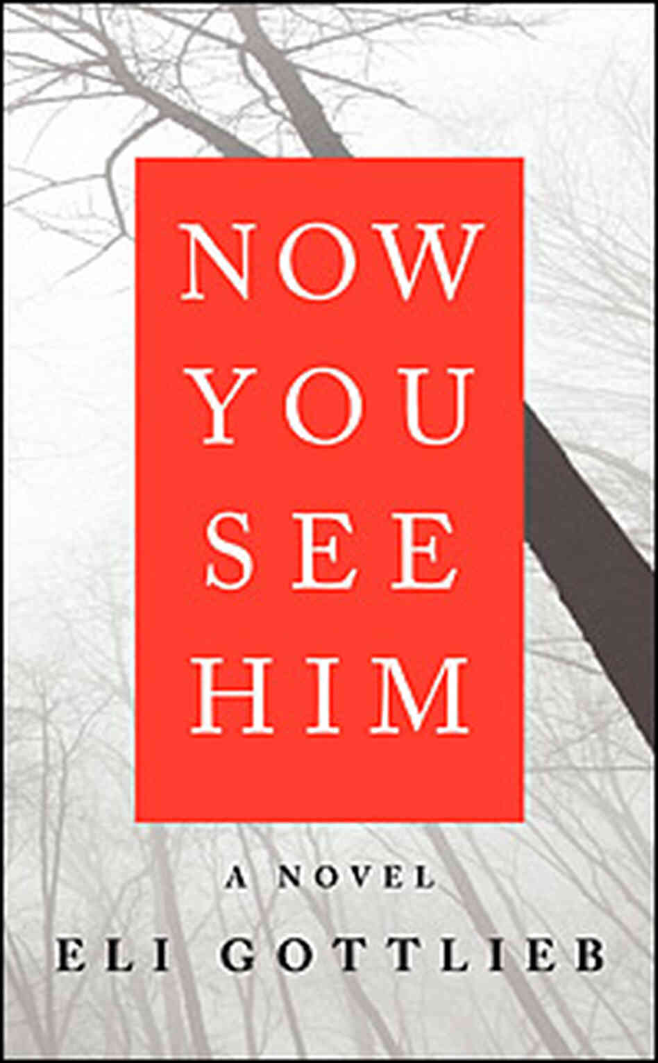 'Now You See Him' cover 'Now You See Him' cover