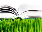 books in grass books in grass