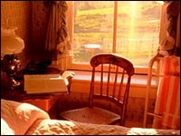 'A Perfect Stranger'