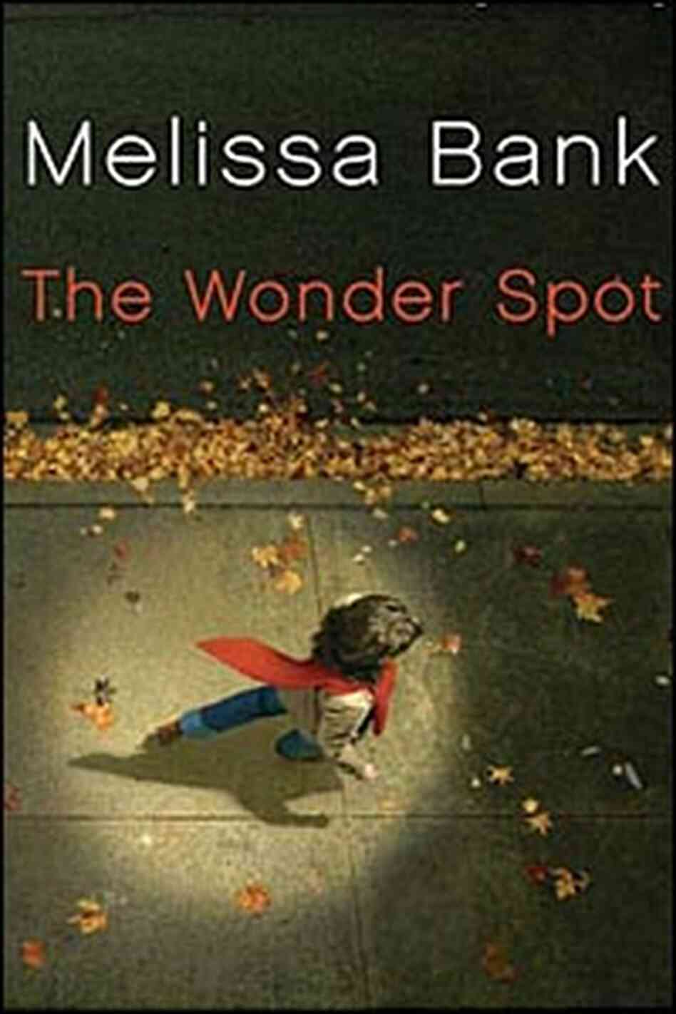 Wonder Spot cover Wonder Spot cover