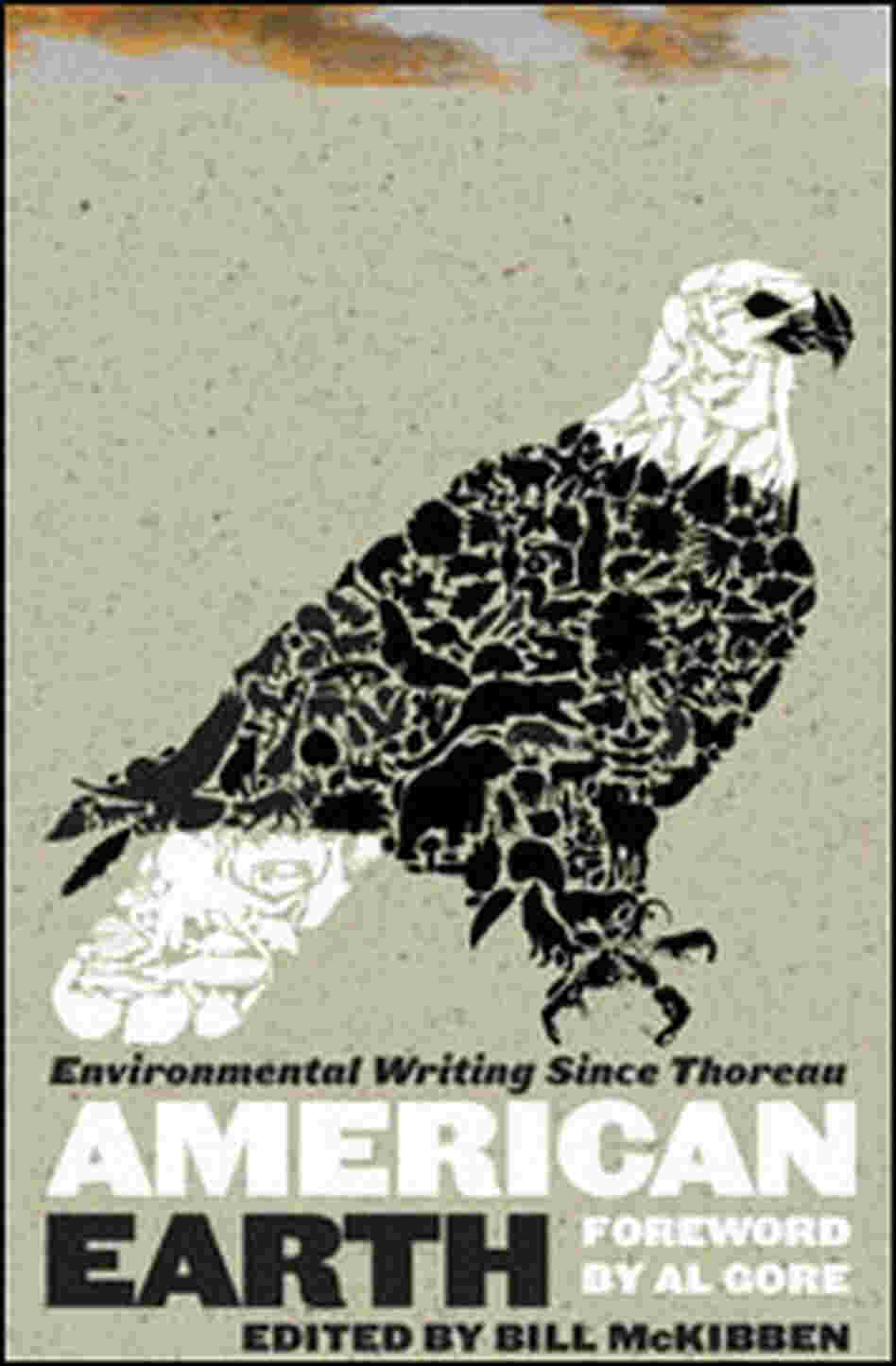 'American Earth' 'American Earth'
