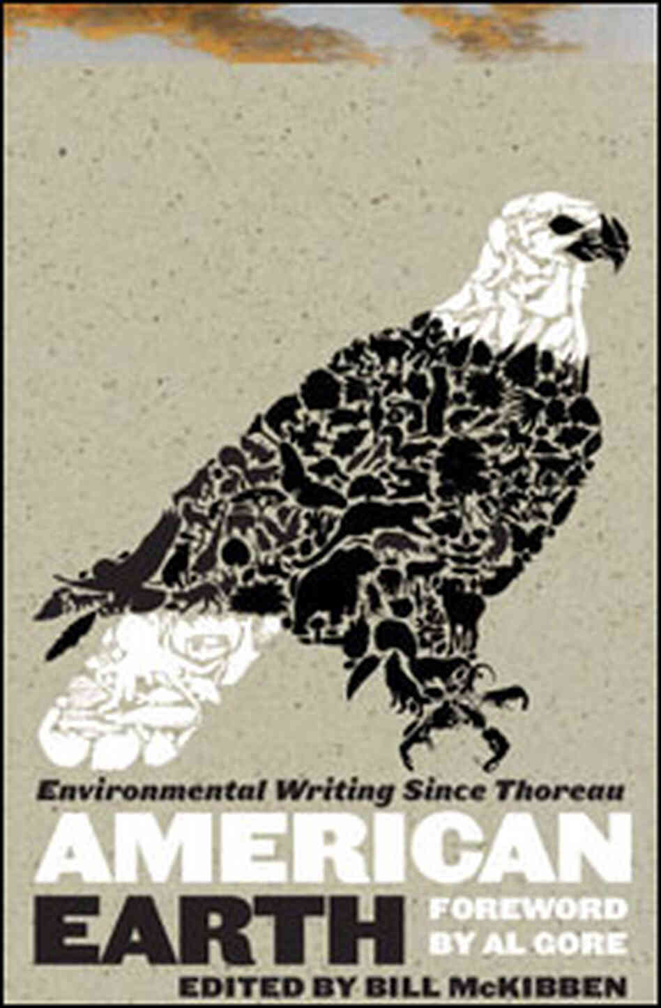 'American Earth' 'American Earth'
