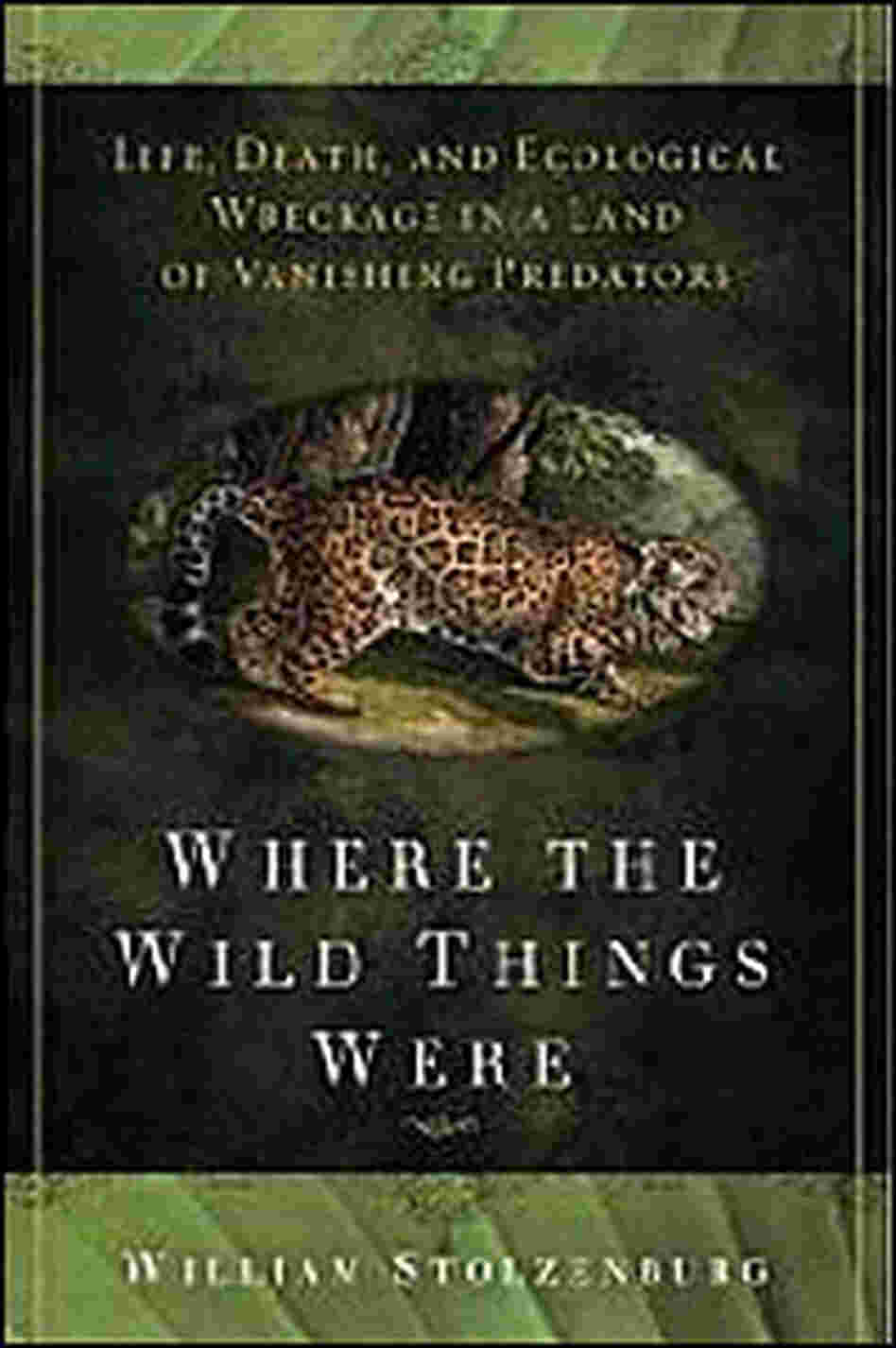 'Where the Wild Things Were' 'Where the Wild Things Were'