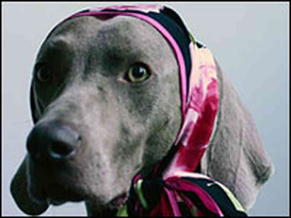 Books about dogs Books about dogs