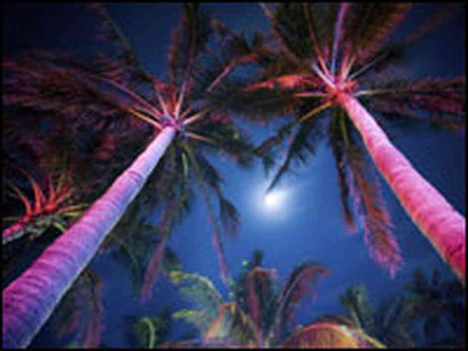 South Beach South Beach