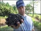 Mike Rowe works as a worm rancher for an episode of 'Dirty Work' Mike Rowe works as a worm rancher for an episode of 'Dirty Work'
