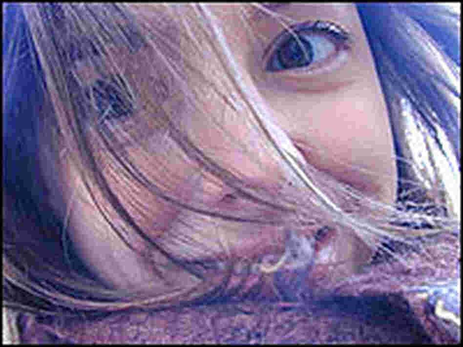 Clotilde Dusoulier Clotilde Dusoulier