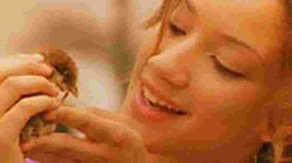 Judy (Judy Marte) softens up after getting a present from Victor -- a baby chicken. Judy (Judy Marte) softens up after getting a present from Victor -- a baby chicken.