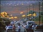 Curious onlookers pile out of their cars to get a better view of the 1991 "Umbrellas" project Curious onlookers pile out of their cars to get a better view of the 1991 "Umbrellas" project