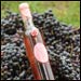 Wine and grapes.