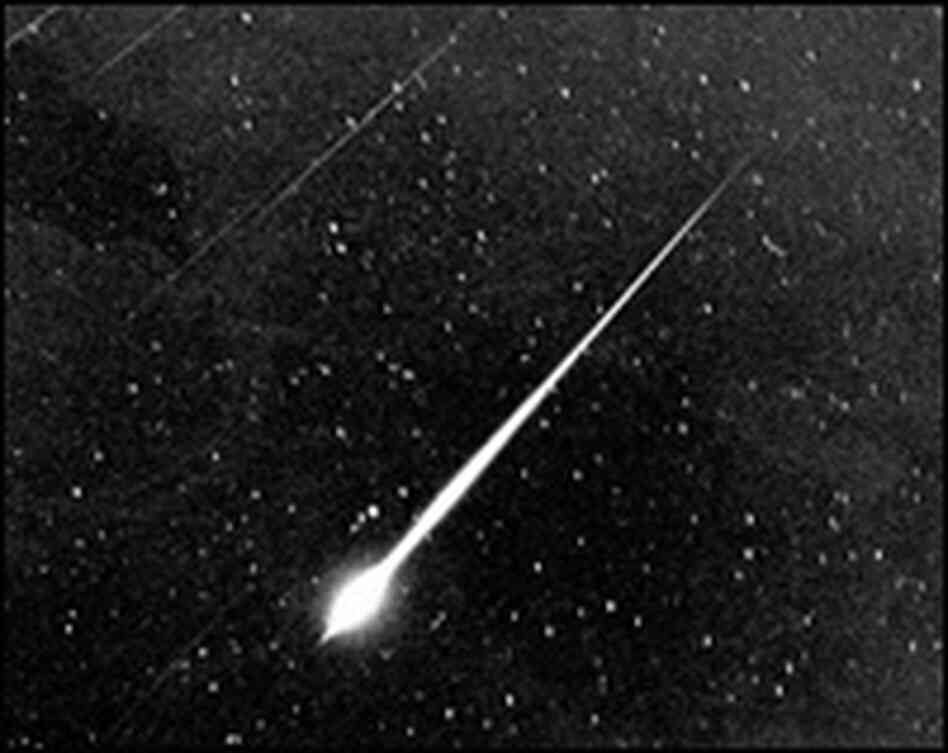 Leonid Meteor Shower Leonid Meteor Shower