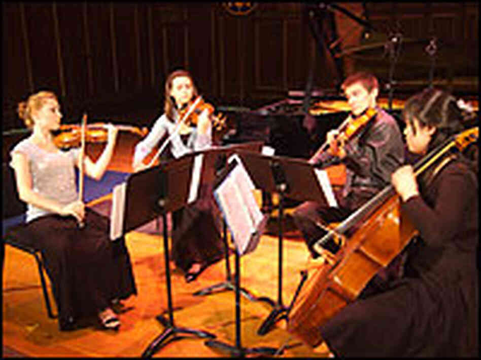 Elysium String Quartet Elysium String Quartet