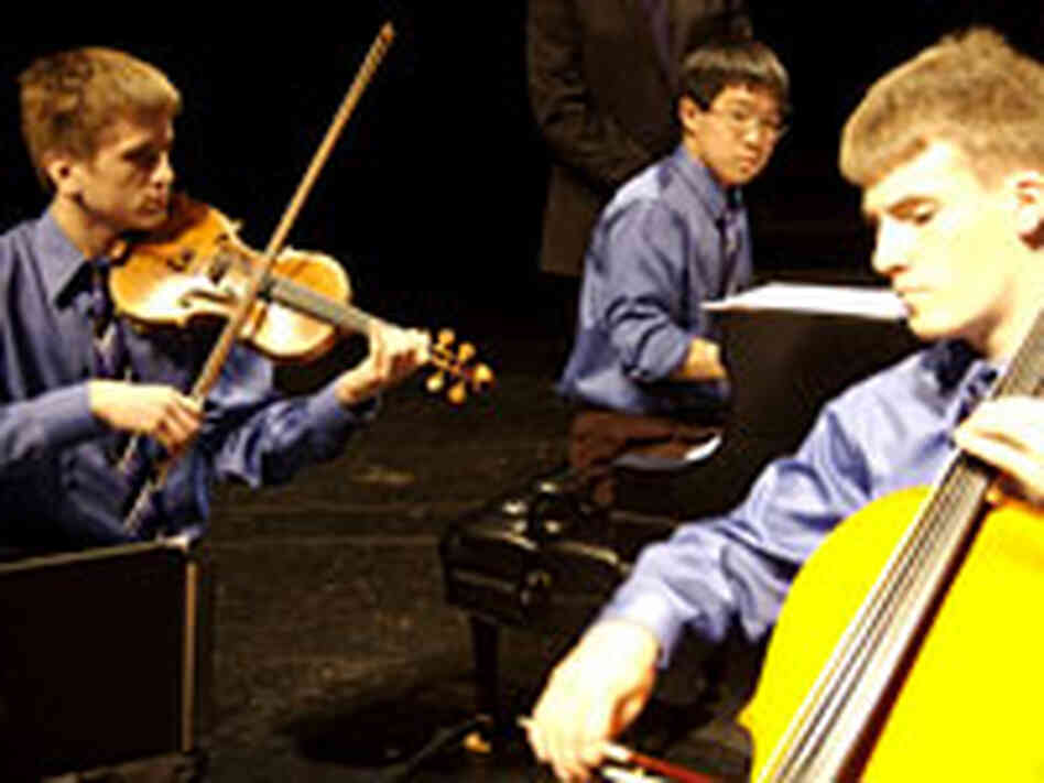 Trio Vita