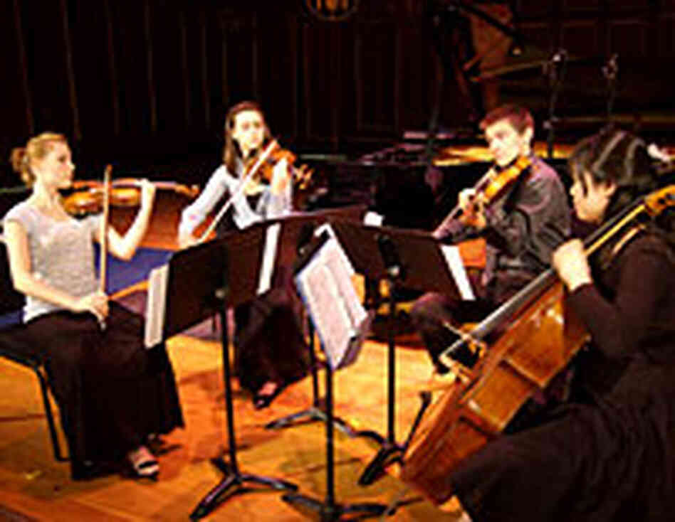 Elysium String Quartet Elysium String Quartet