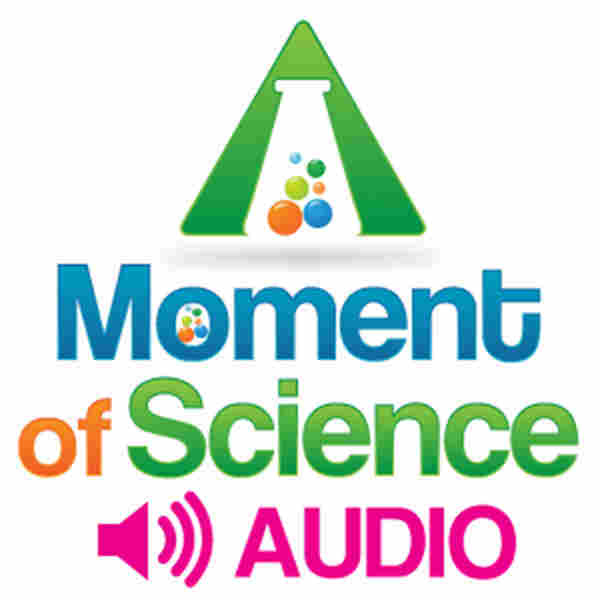 A Moment of Science A Moment of Science