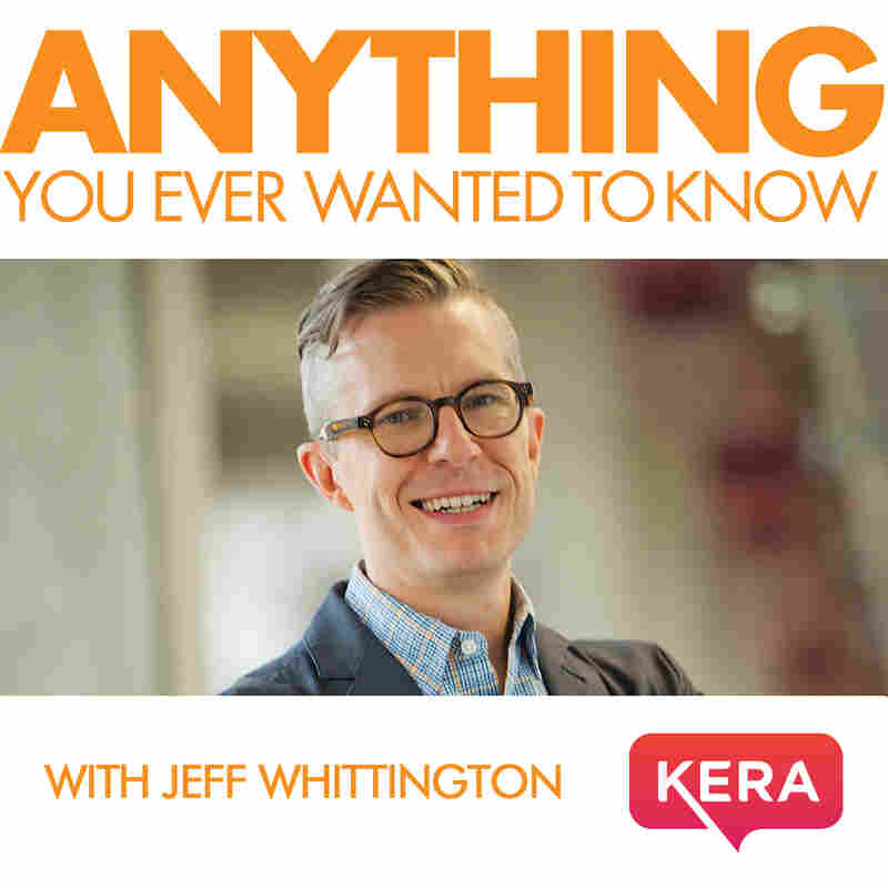 KERA's Anything You Ever Wanted to Know KERA's Anything You Ever Wanted to Know