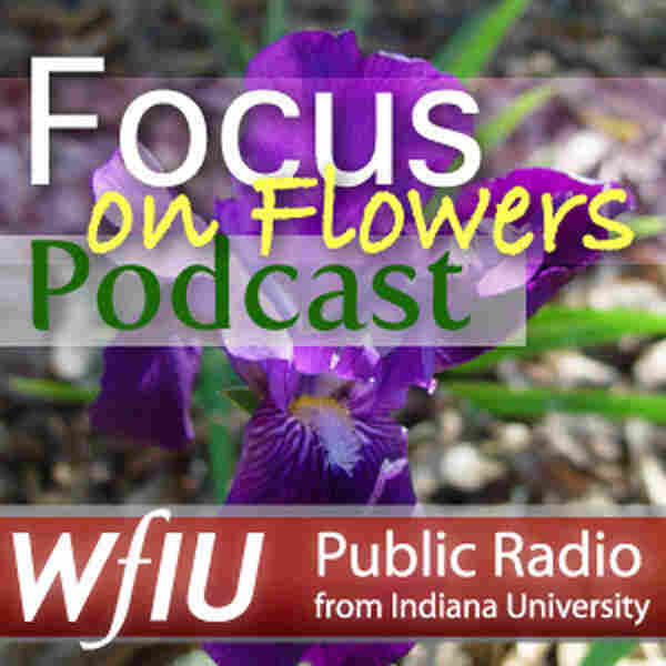 Focus on Flowers Focus on Flowers