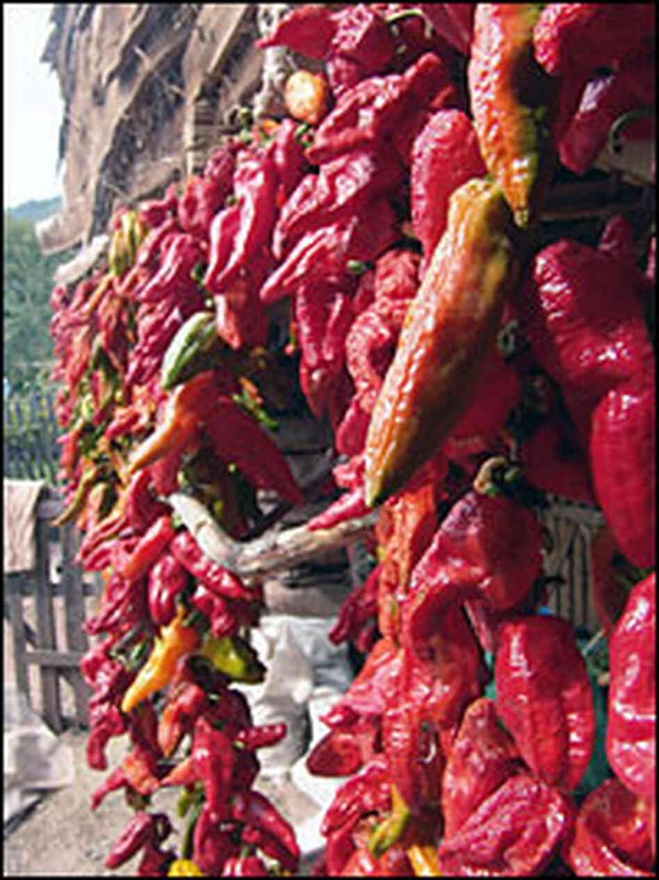 Vibrantly colored red peppers adorn homes in Serbia during the fall harvest
