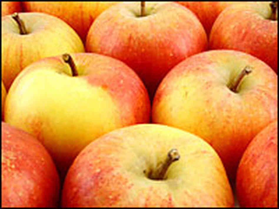 Apples Apples