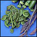 thumbnail thumbnail
