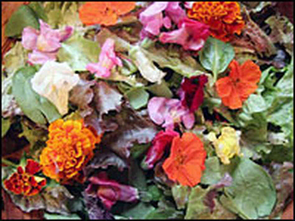 A mix of snapdragons, marigolds, violets and nasturtiums brighten up even the most ordinary salad.