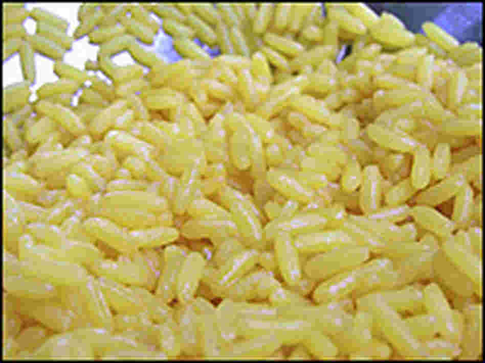 Indian Rice Indian Rice