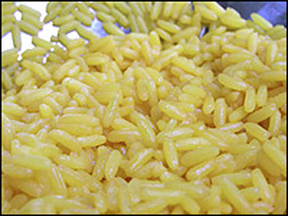 Indian Rice Indian Rice